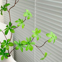 Real Flower Decoration Simulated Plants Indoor Living Room Dining Table Decorations Decoration