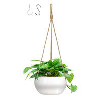 Spot Nylon Rope Hemp Rope Wall Hanging Ceramic Flowerpot Indoor Living Room Green Plants Succulent Potted Decoration